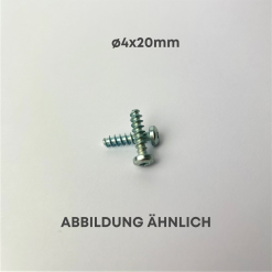 Thread-forming screw for Fused-3D L boxx accessories ø4x20mm
